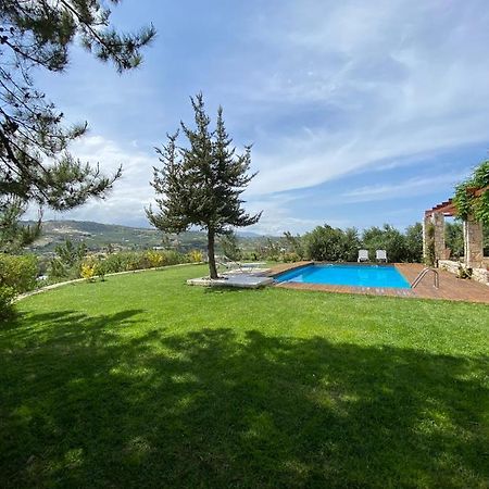 Promachon Villa Φοινικιά Εξωτερικό φωτογραφία